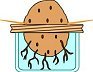 sweet potato jar small